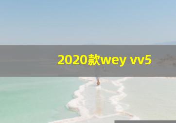 2020款wey vv5